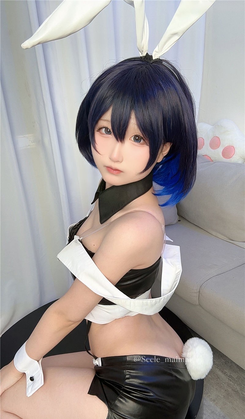 Seele麦麦 崩坏3 兔女郎希儿[83P-147M]