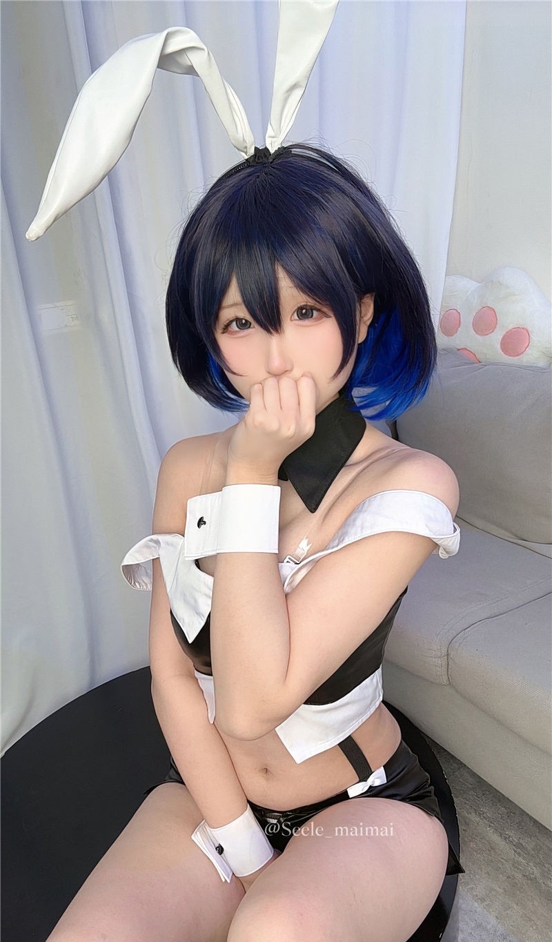 Seele麦麦 崩坏3 兔女郎希儿[83P-147M]