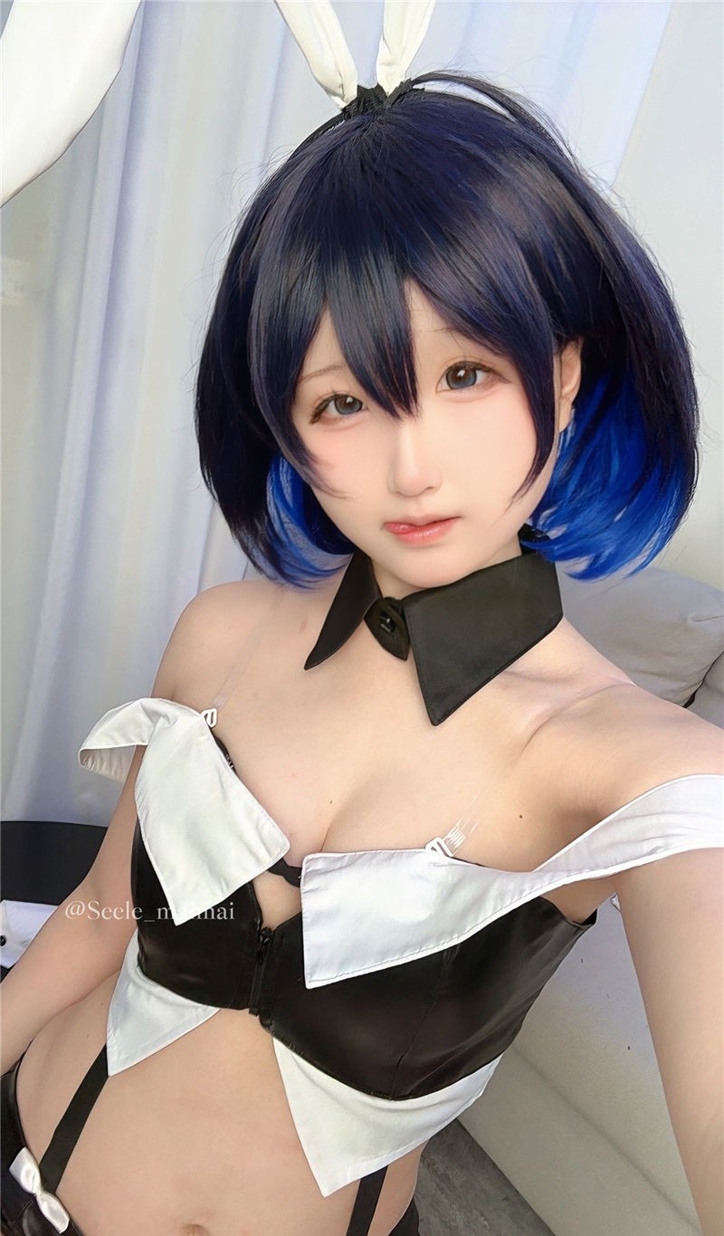 Seele麦麦 崩坏3 兔女郎希儿[83P-147M]