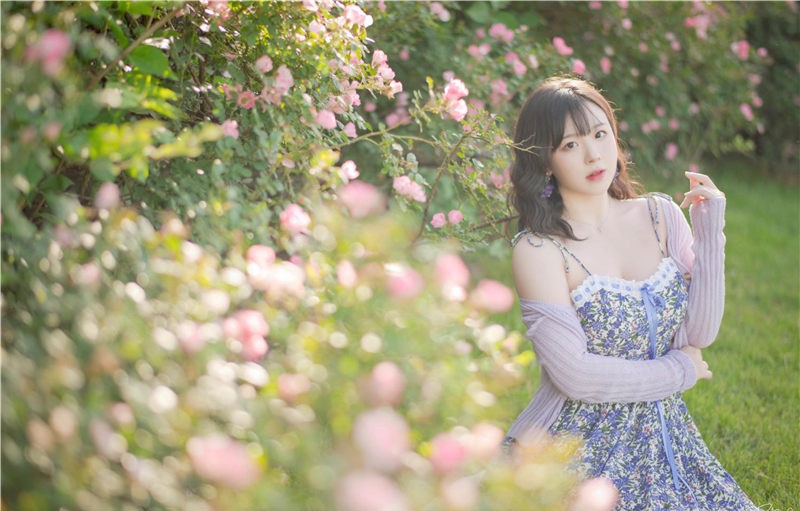 皮皮奶 蔷薇花 [37P-787MB]