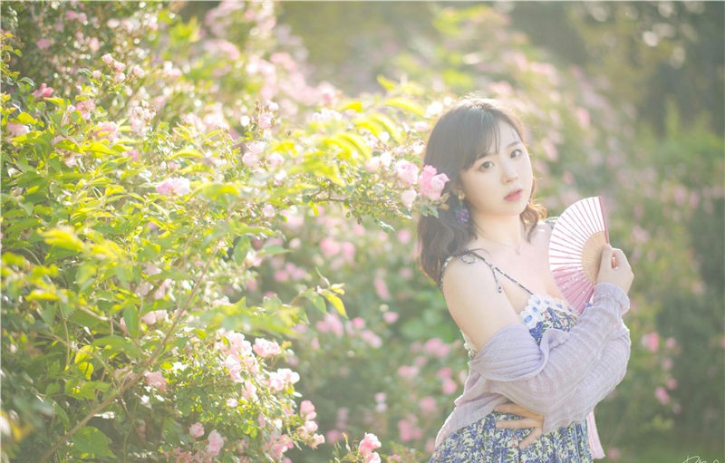 皮皮奶 蔷薇花 [37P-787MB]