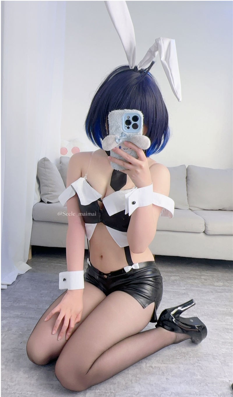 Seele麦麦 崩坏3 兔女郎希儿[83P-147M]