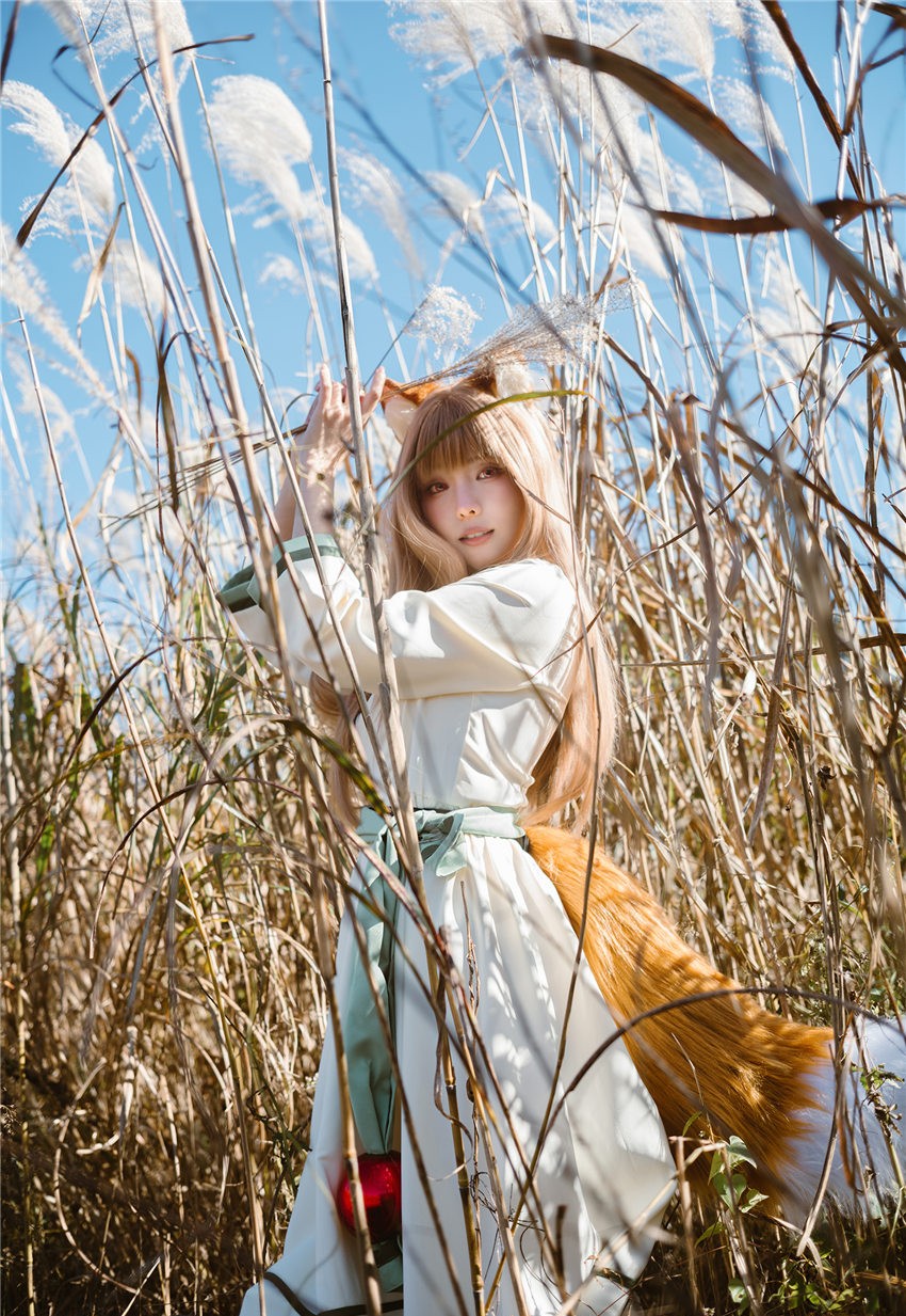 ElyEE子 Breeze 狼與微風 [34P3V-207MB]