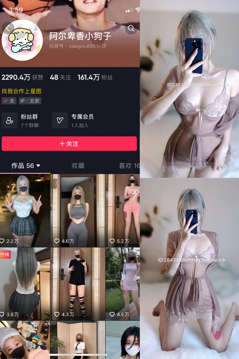 抖音 阿尔卑香小狗子 微密圈 NO.007期 【15P】 – 绅士宝库
