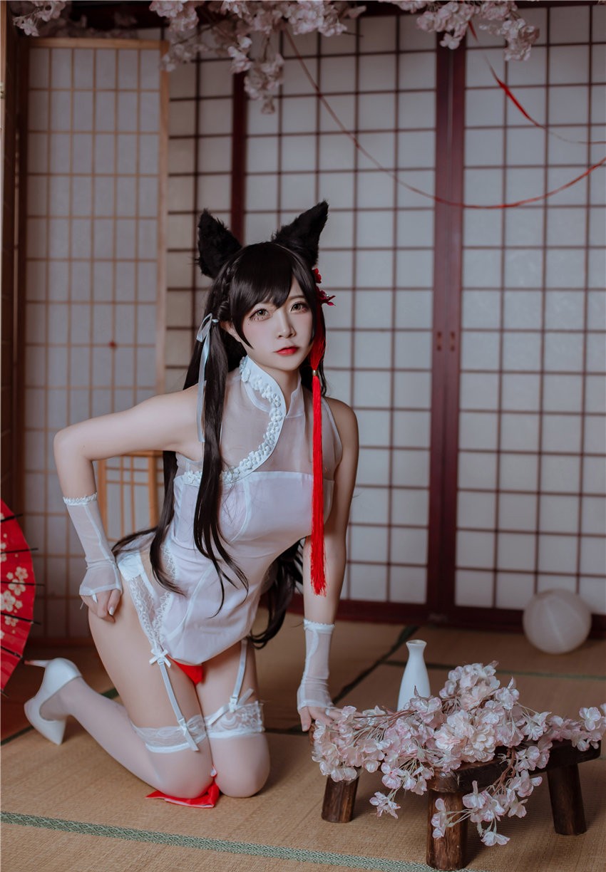 二佐Nisa 犬之眷 碧蓝航线 爱宕 旗袍 [18P-117M]