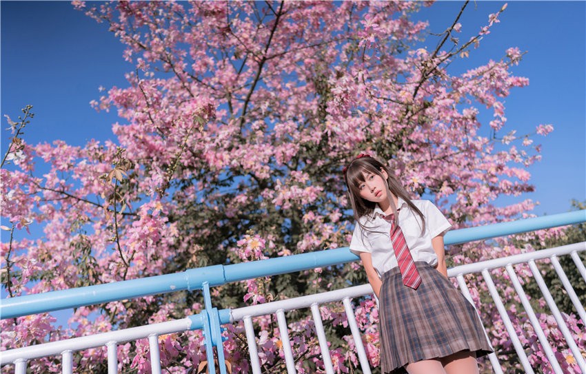 萌芽儿o0 异木棉花 [27P-436MB]